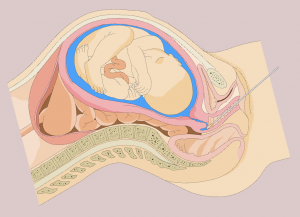 Screenshot 2026-02-10 at 1.02.55 PM