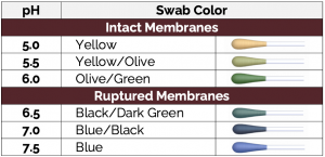 Screenshot 2026-02-10 at 12.48.20 PM